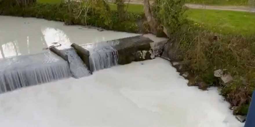 Nehirden akanı görenler şoke oldu!