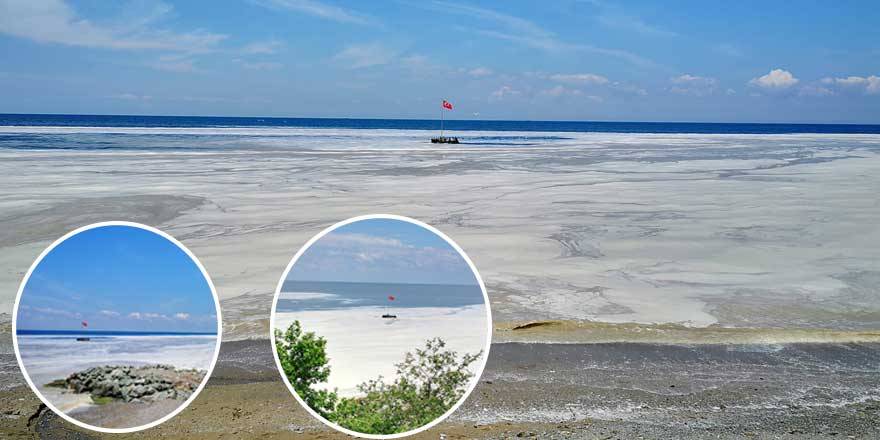 Yalova sahilinde deniz salyası