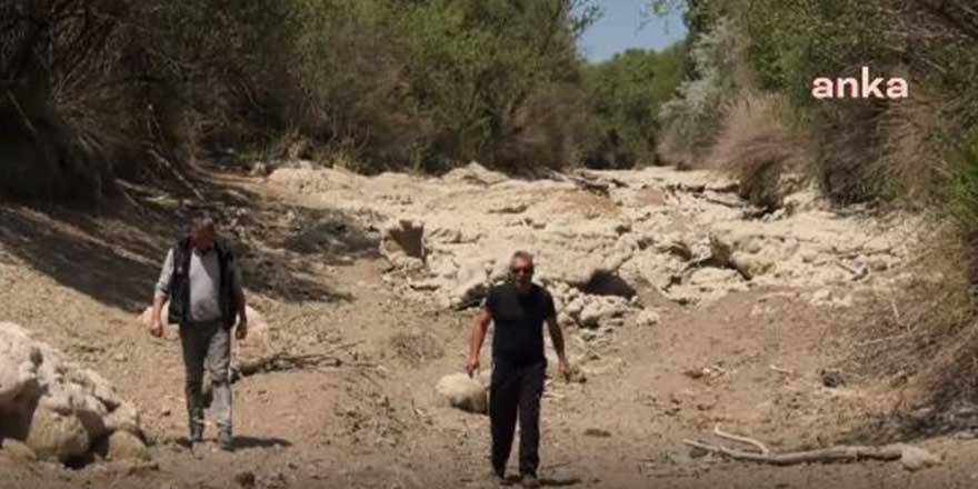 Türkiye'nin en uzun 3. nehri Sakarya'nın kolları kuruyor