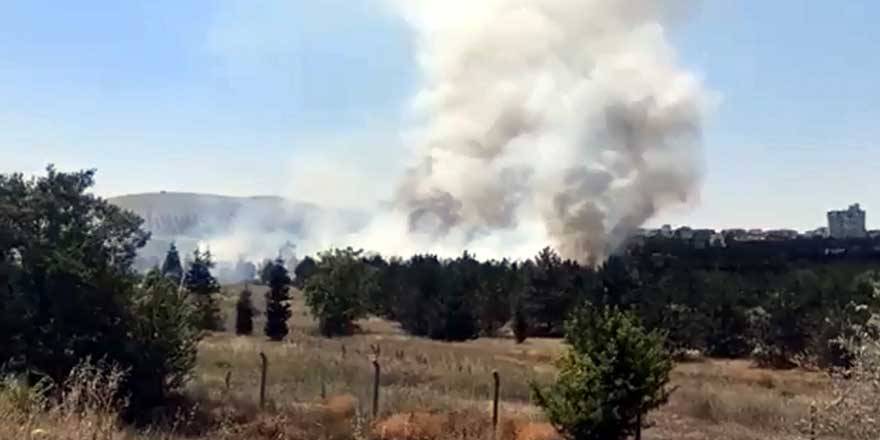 Atatürk Orman Çiftliği'nden yangın! Mansur Yavaş da bölgeye gitti