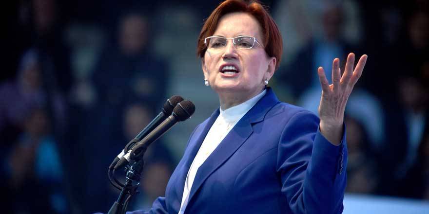 Meral Akşener’den Pakdemirli’ye sert tepki