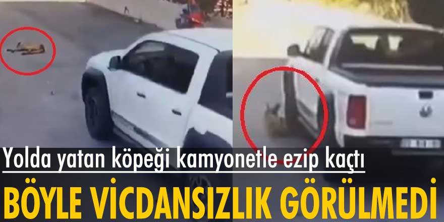 Mersin'de  yolda yatan köpeği kamyonetle ezip kaçtı
