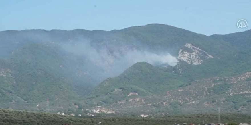 Kaz dağlarında orman yangını