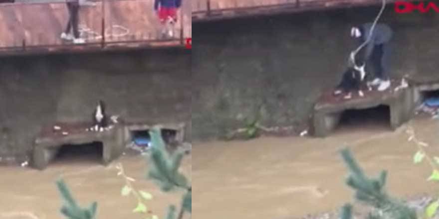 Mahsur kalan köpeği böyle kurtardı