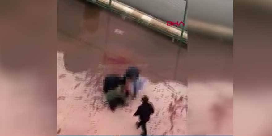 Pitbull dehşeti devam ediyor!