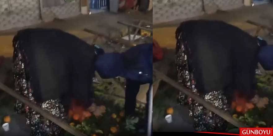 Vatandaşlar atık sebze-meyveleri topluyor!