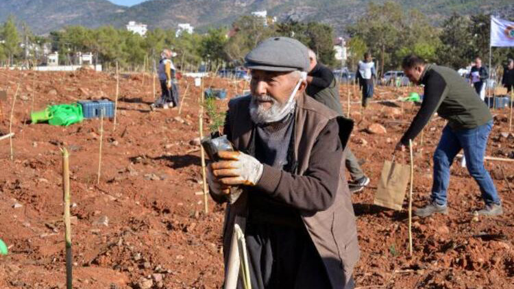 Yangın felaketinin yaraları 350 bin fidanla sarılıyor