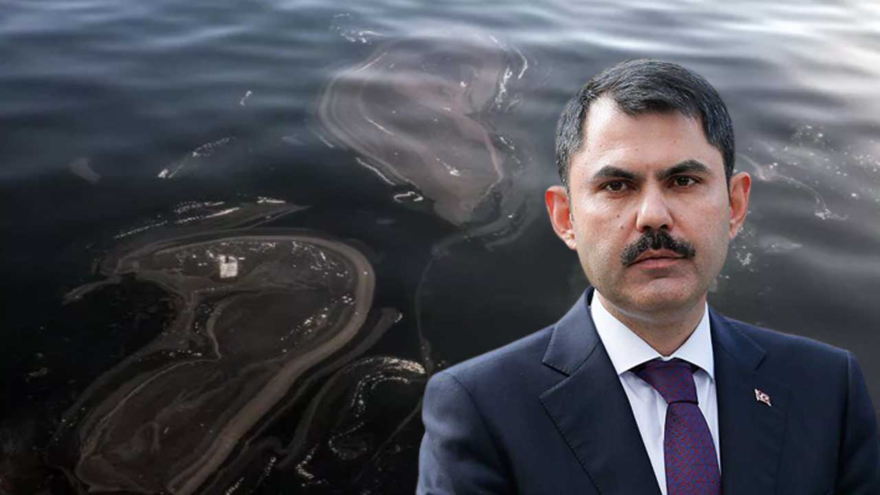 Bakan Kurum'dan 'Çanakkale'de müsilaj' açıklaması:  Ne yüzeyde ne de dibinde...