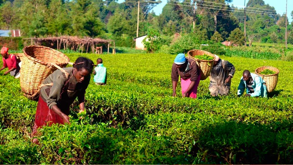 AKP iktidarı Sudan'daki hayali projeden vazgeçmeli!