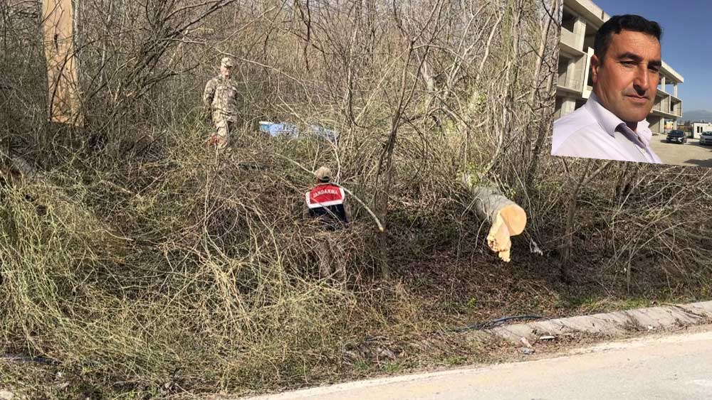 Kestiği ağacın altında kalan  Yusuf Yüksel hayatını kaybetti