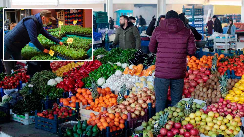 Almaya parası yetmeyen vatandaş, dikmeye başladı: Pazarda fide sevkiyatı iki katına ulaştı