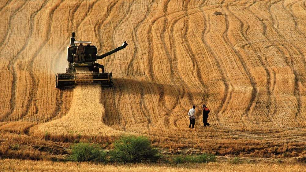 Çiftçiye kötü haber: Gübre fiyatlarına yüzde 20 zam yolda