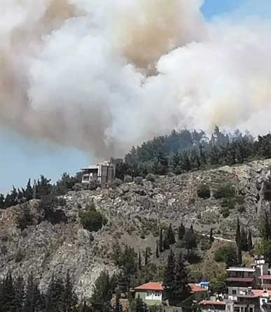 Hatay'da orman yangını