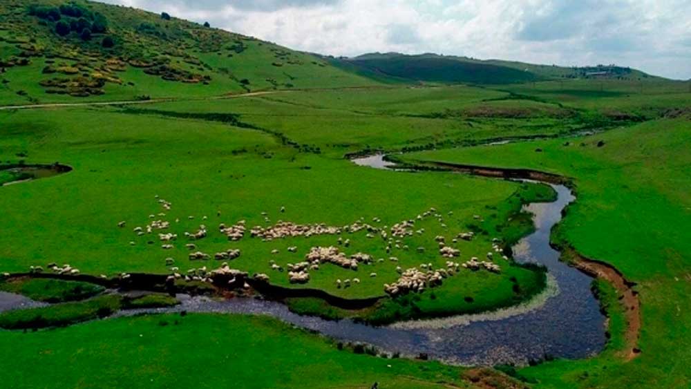 İktidarın bitmeyen maden sevgisi! Bir doğa harikası daha ranta kurban ediliyor