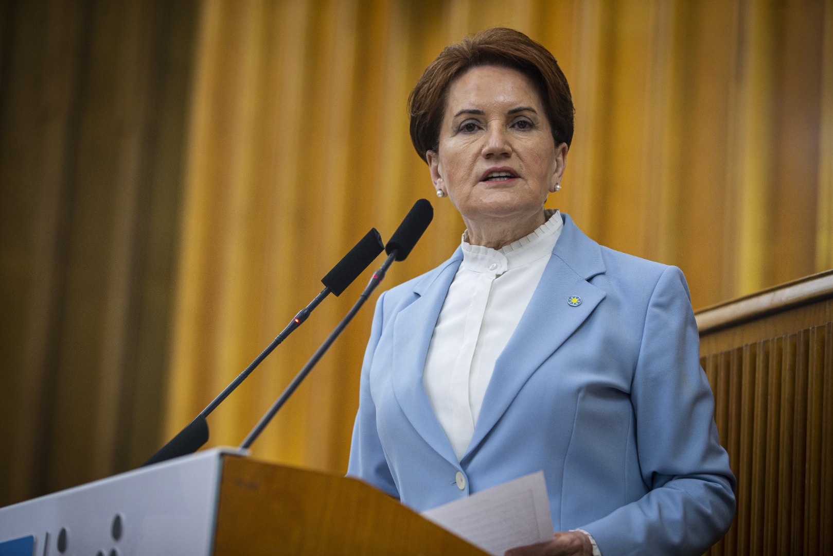 Meral Akşener’den Nazım Hikmet mesajı