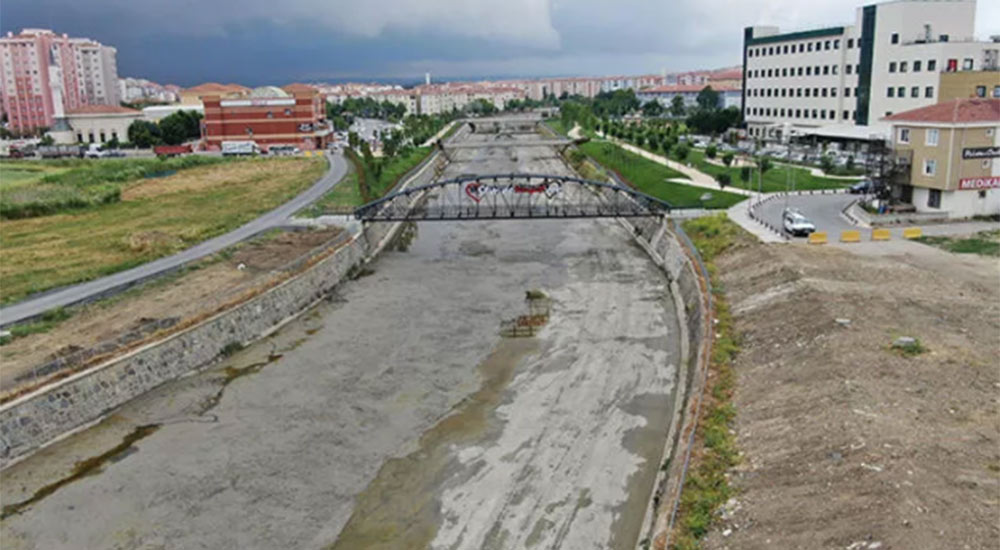 Silivri'de toplu balık ölümleri...