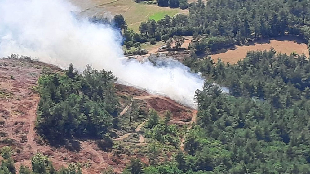 Çanakkale'de orman yangını