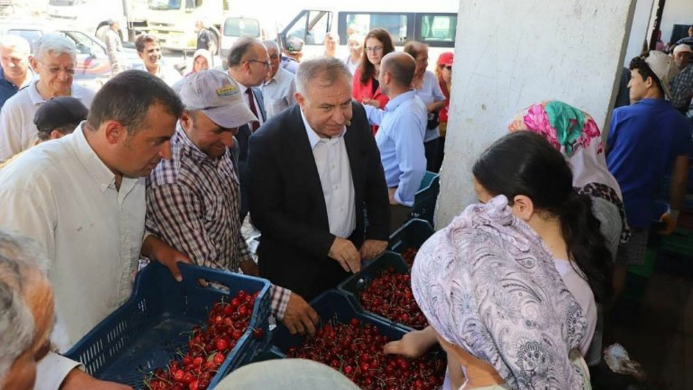 Kiraz üreticisi CHP'li vekile dert yandı