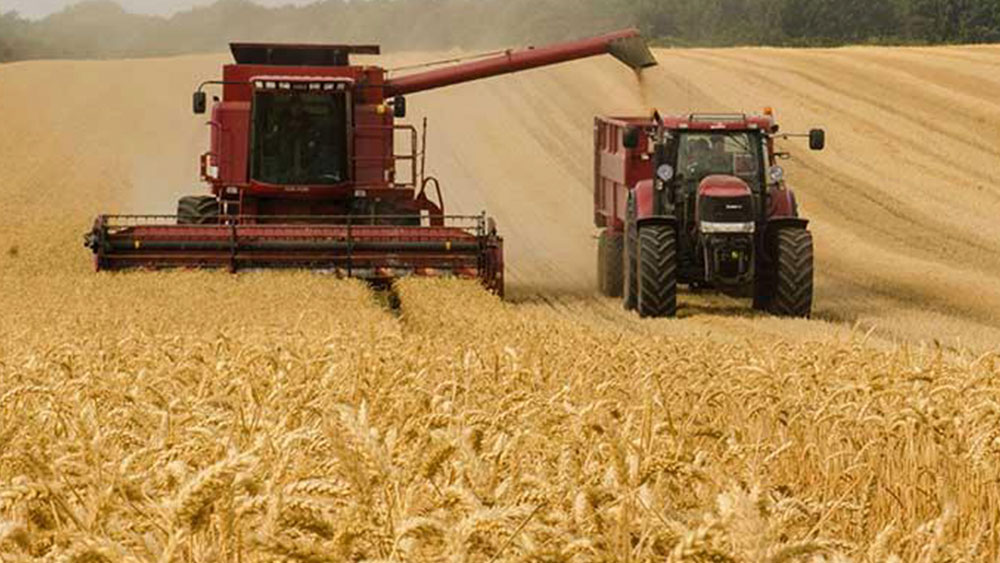 Toprak Mahsulleri Ofisi'nden kara haber geldi ekmek almak lüks olacak