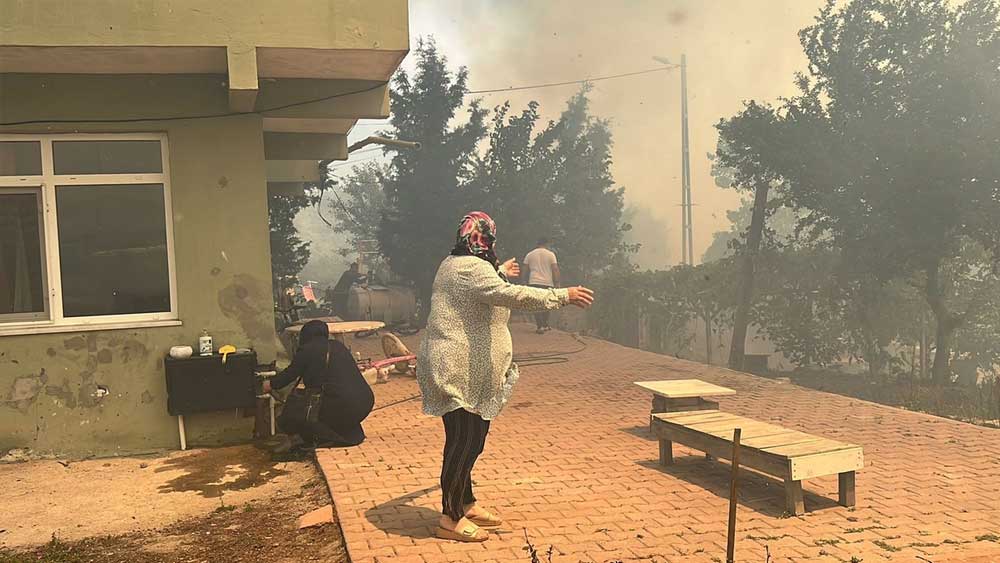 Beykoz'da orman yangını