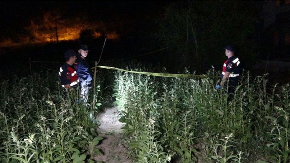 16 yaşındaki çocuk susam tarlasında ölü bulundu