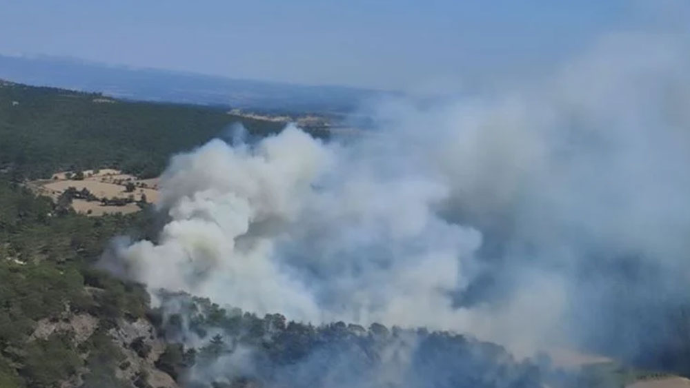 Çanakkale'de orman yangını!