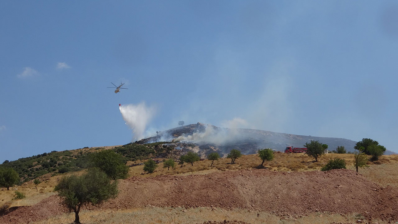 Çanakkale'de orman yangını çıktı