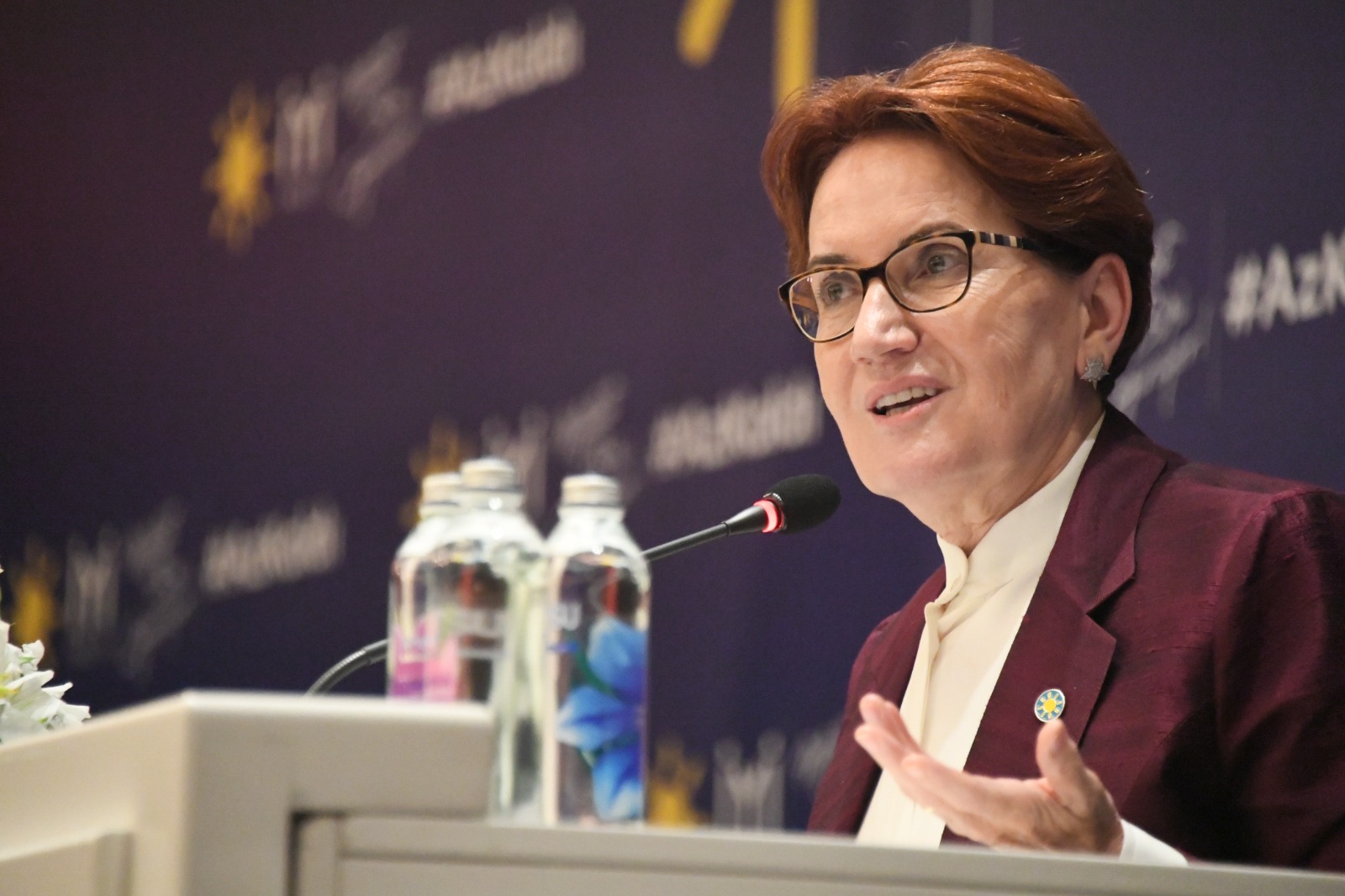 Meral Akşener, İYİ Parti'nin Akdeniz Bölgesi il ve ilçe başkanlarıyla görüştü