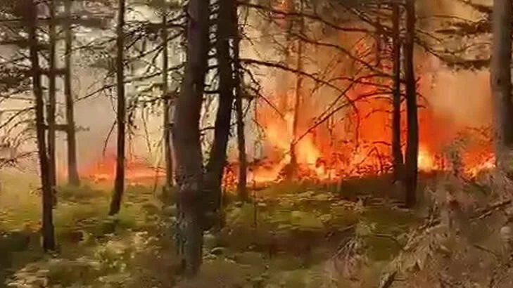 Tokat’ta korkutan orman yangını