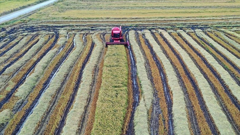 Tarımsal girdideki artış yüzde 100'ü aştı