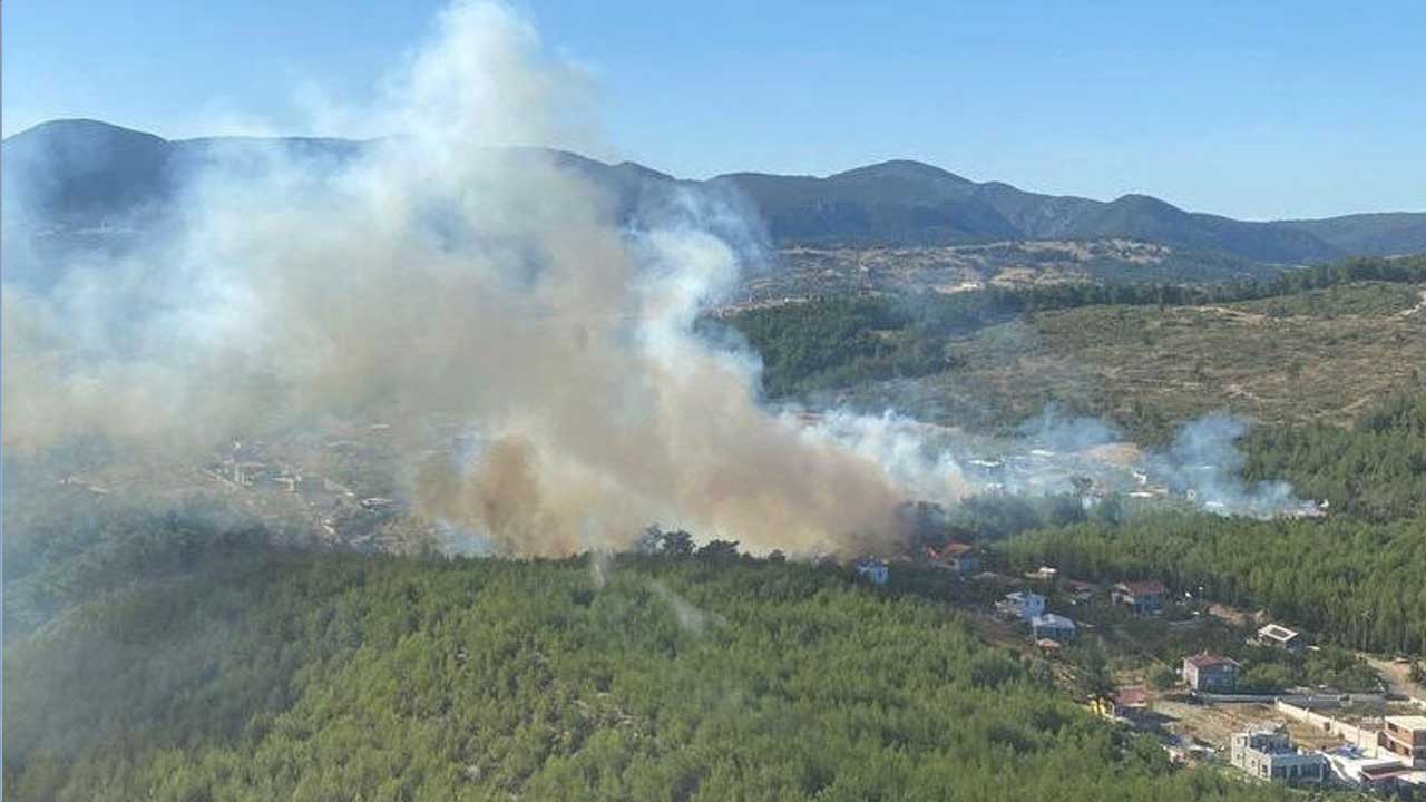 İzmir'de korkutan orman yangını