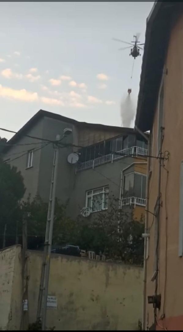 Beykoz'da orman yangını