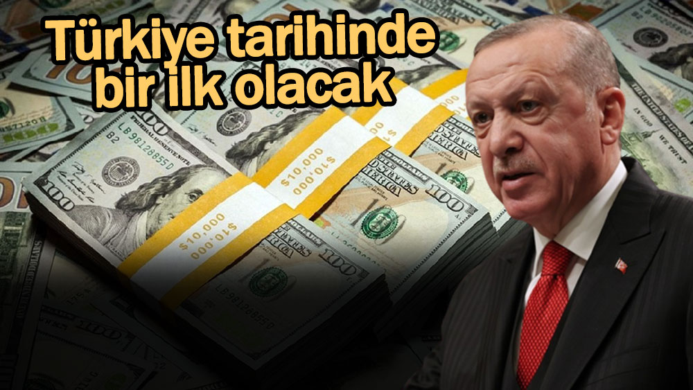 Türkiye'de doları alt üst edecek uyarı! Türkiye tarihinde bir ilk yaşanacak