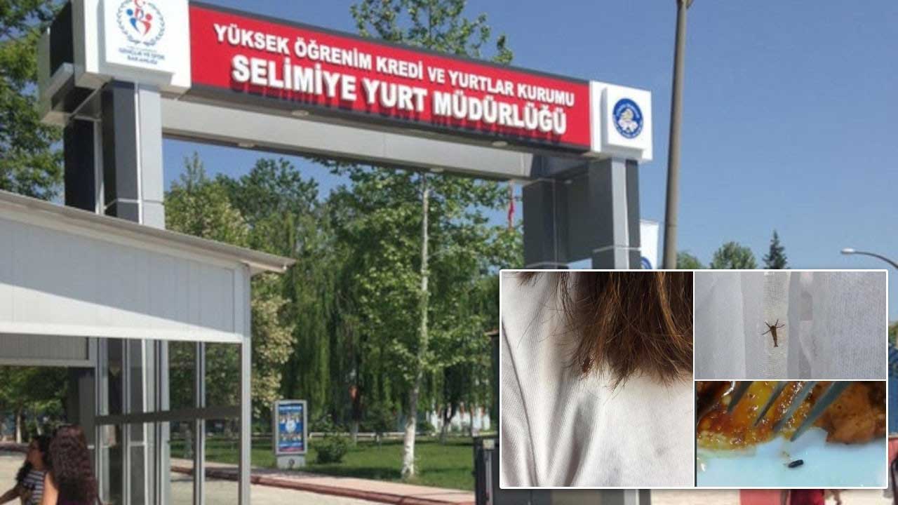 KYK yurdunda skandal görüntüler: Yemekten böcek çıktı