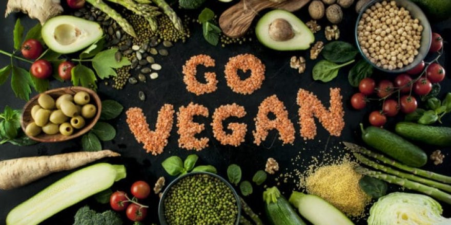 Vegan beslenme tartışması!