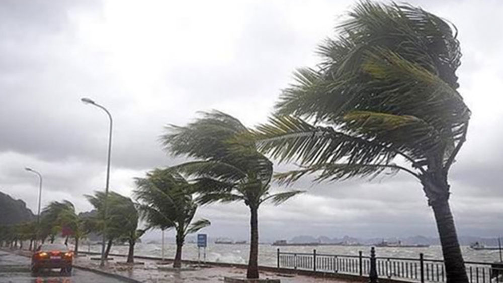 Çok sert esecek! Meteoroloji'den önlem alın uyarısı