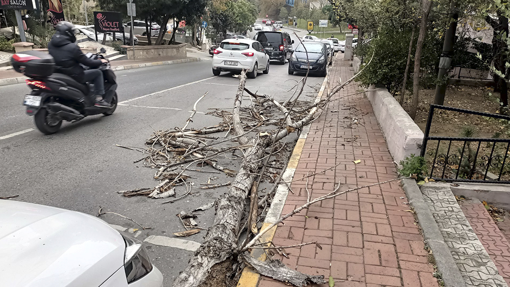 İstanbul'da şiddetli fırtına hayatı olumsuz etkiledi!