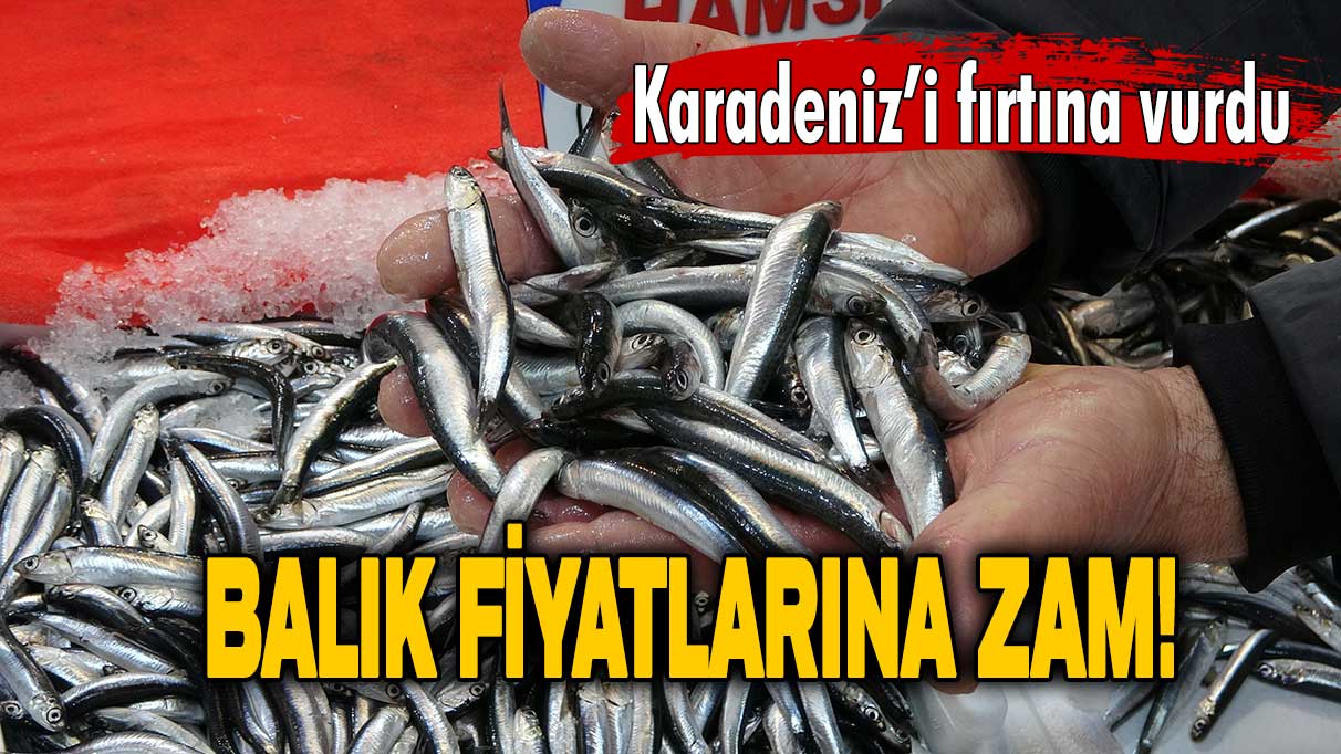 Karadeniz'i fırtına vurdu: Balık fiyatlarına zam!