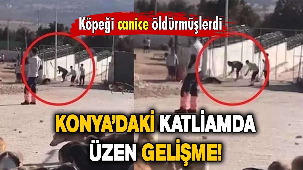 Köpeği canice öldürenlerin tahliyesine itiraz reddedildi!