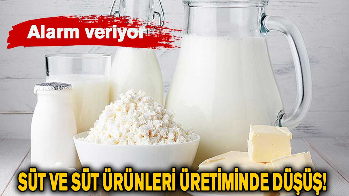 Süt ve süt ürünleri üretiminde düşüş! Alarm veriyor...