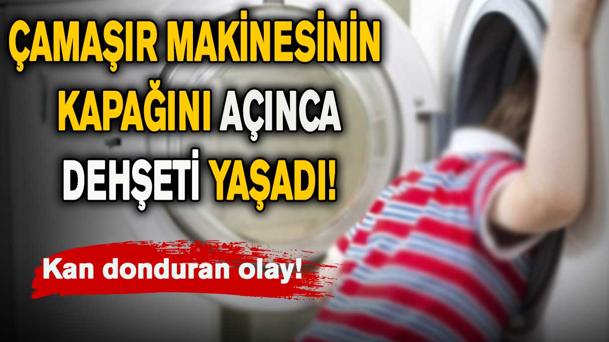 3 yaşındaki çocukla ilgili kan donduran olay!