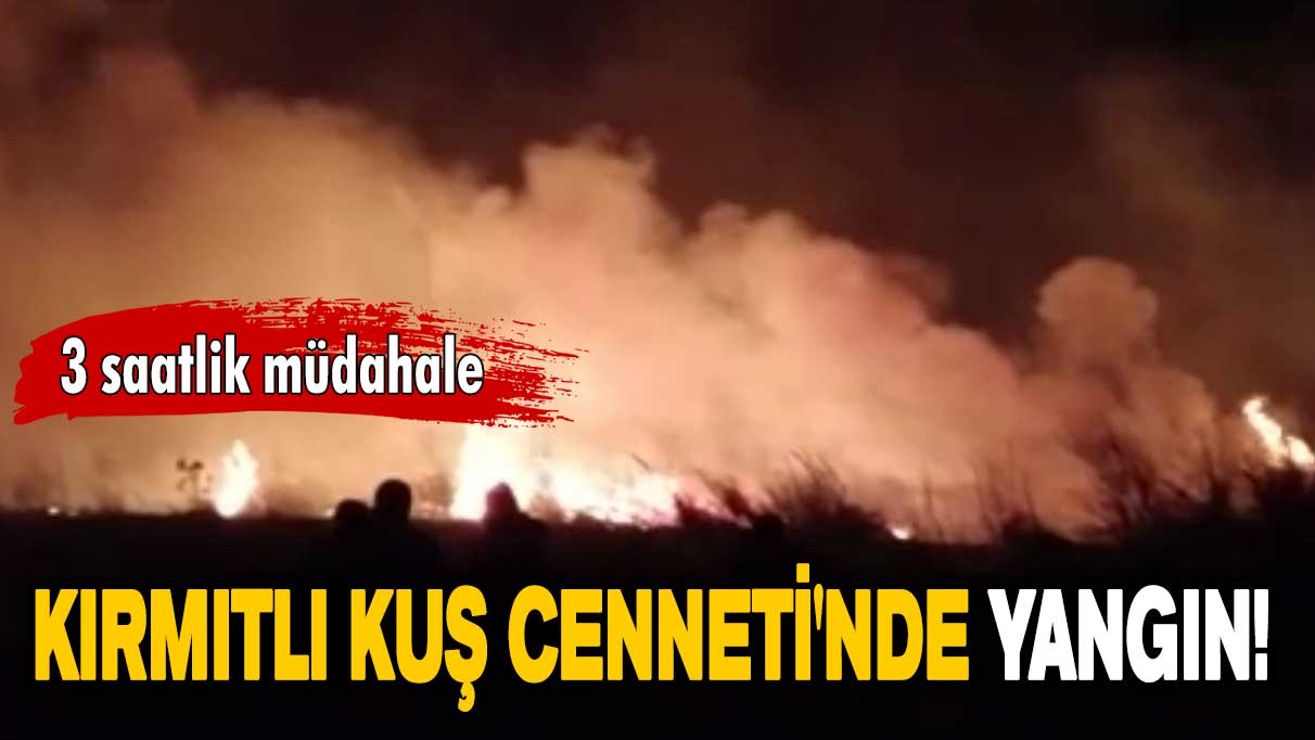 Kırmıtlı Kuş Cenneti'nde korkutan yangın!