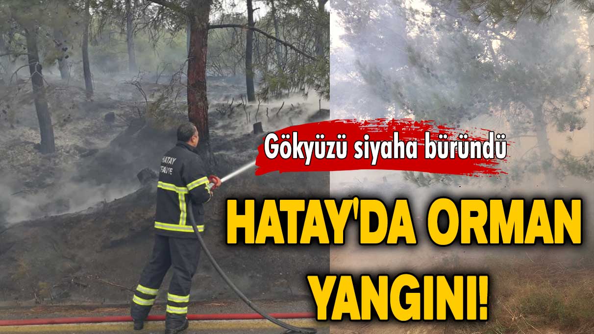 Hatay'da korkutan orman yangını!