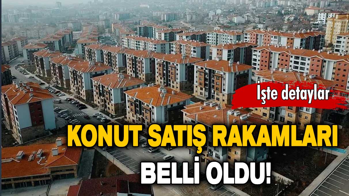 Konut satış rakamları açıklandı!