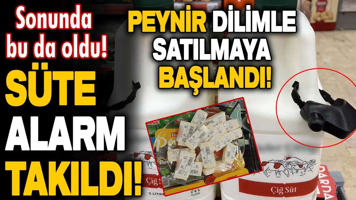 Sonunda bu da oldu! Peynir dilimle satılmaya başlandı: Süte alarm takıldı