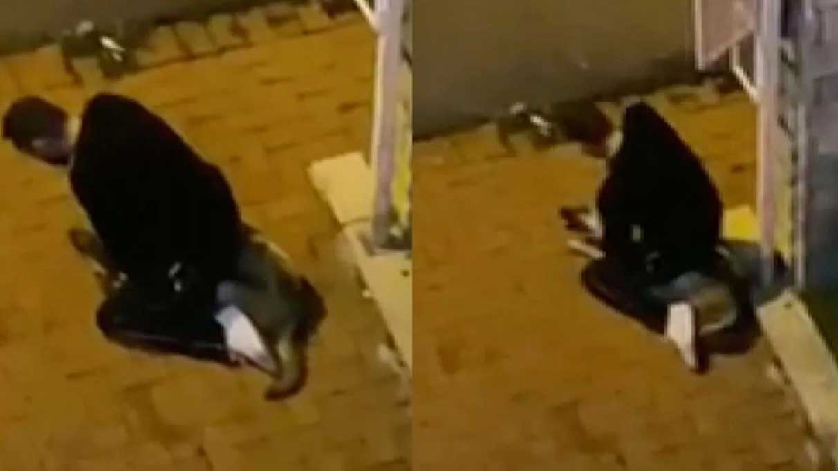 Köpeği boğmaya çalışmıştı: Cezası belli oldu!