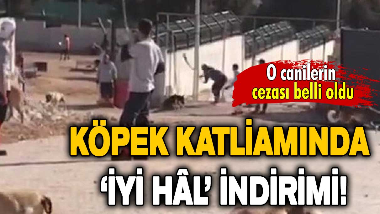 O canilerin cezası belli oldu: Köpek katliamında ‘iyi hâl’ indirimi!