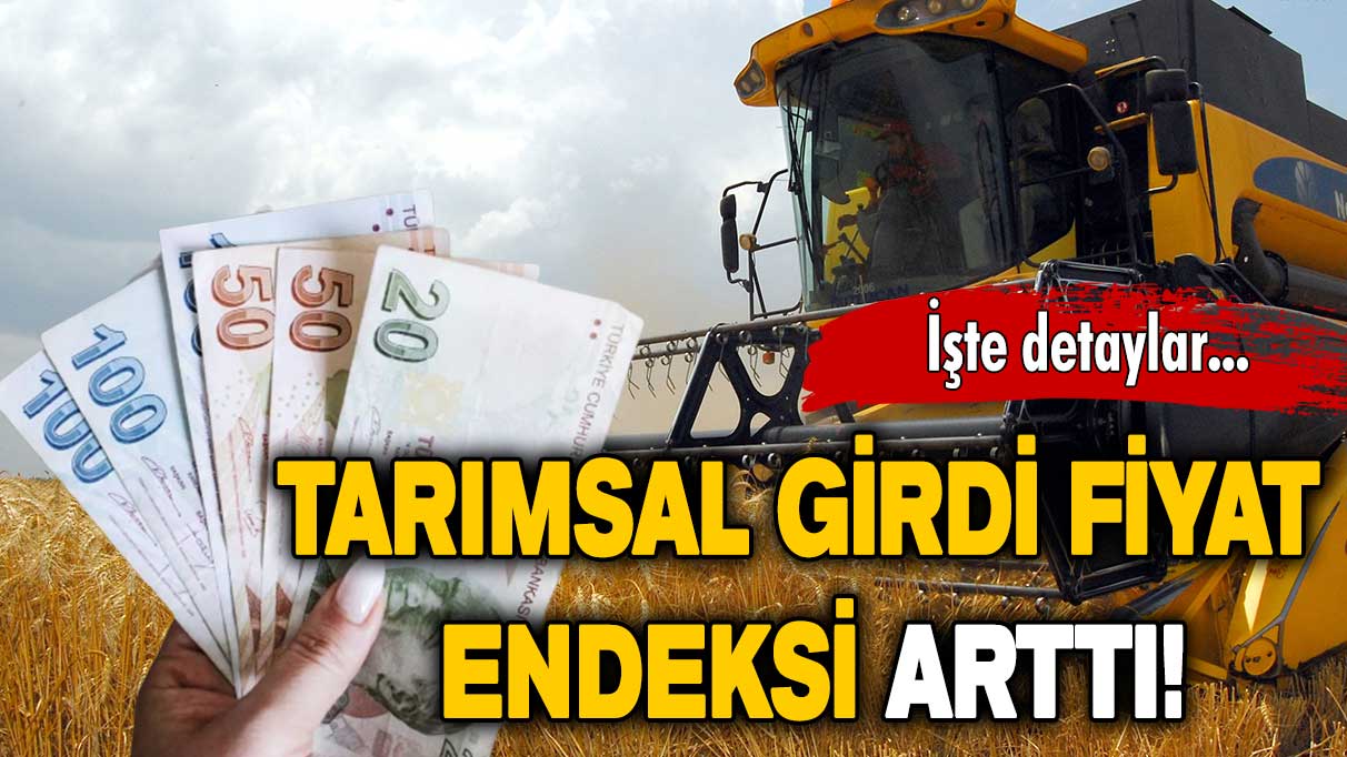 Tarımsal girdi fiyat endeksi kasımda arttı!