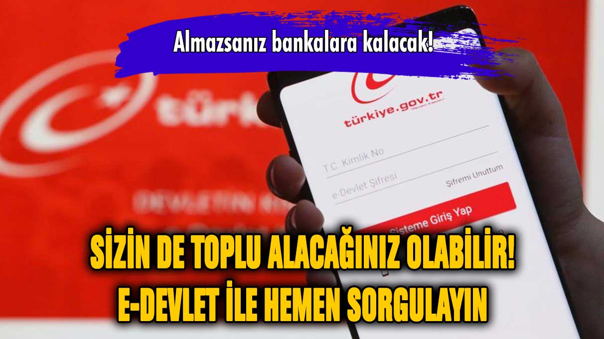 Birikmiş alacağınız olabilir! E-Devlet'ten tek tıkla sorgulayın