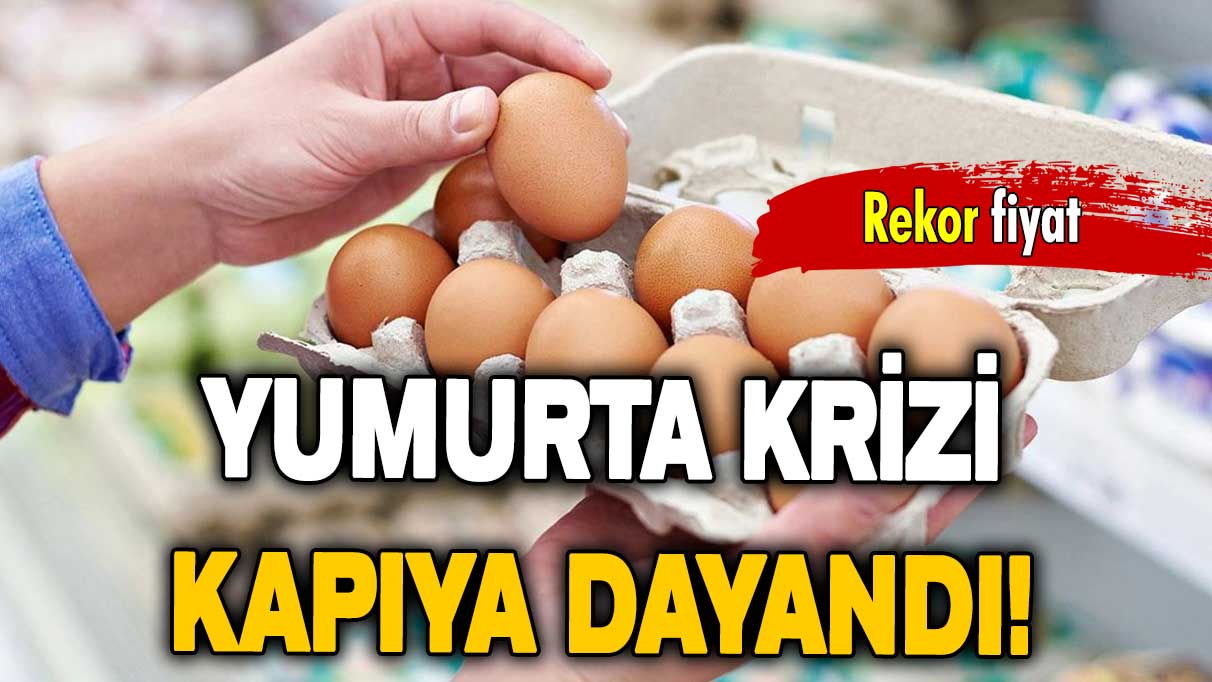 Rekor fiyat: ABD’de yumurta krizi!